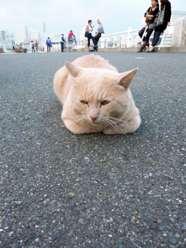 20130222181935_733_3