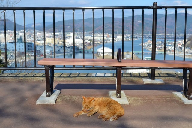 20130222181935_667_1