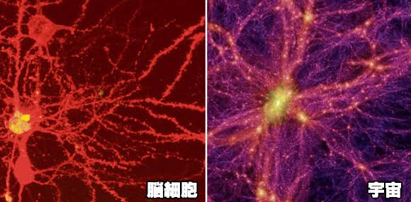 宇宙