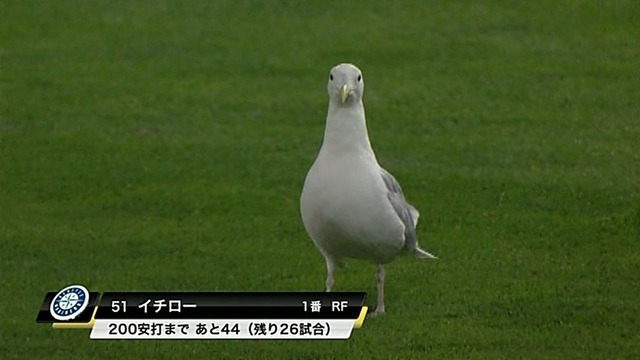 イチロー