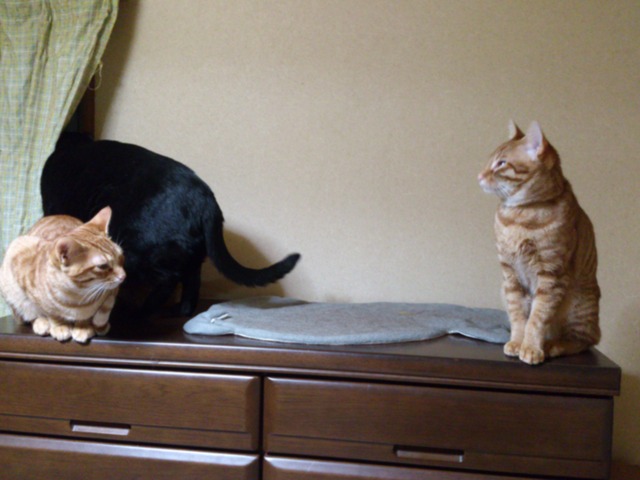 20130222181935_780_1