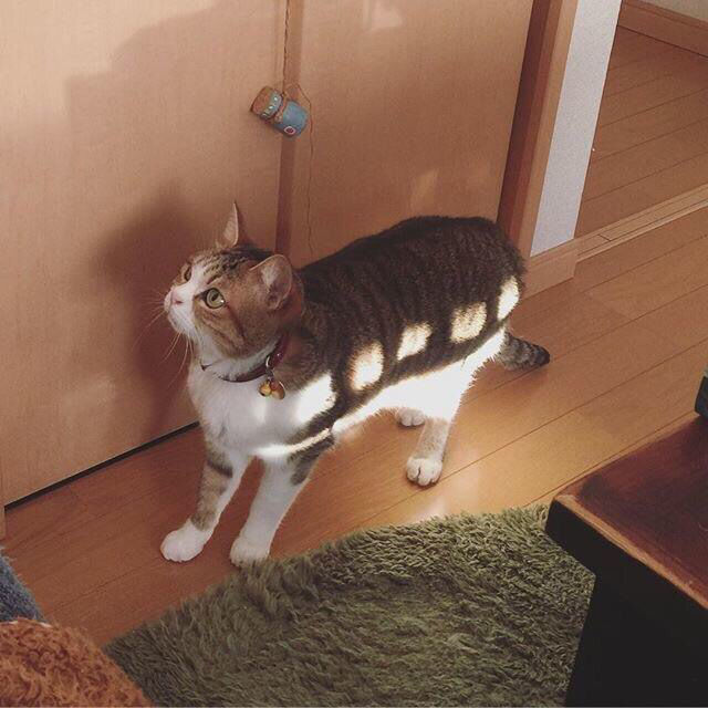 no title