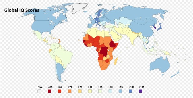 何でアフリカって何年も経済支援してるのに発展しないの？→答えが酷すぎたwwwwww