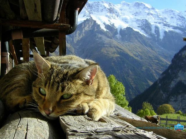 20130222181935_496_3