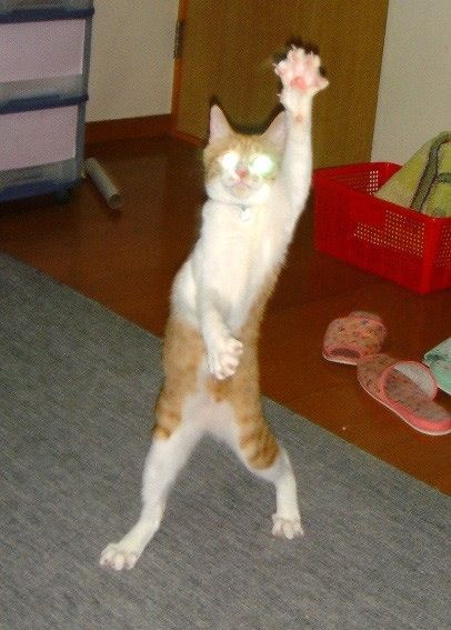 20130424044700_80_1