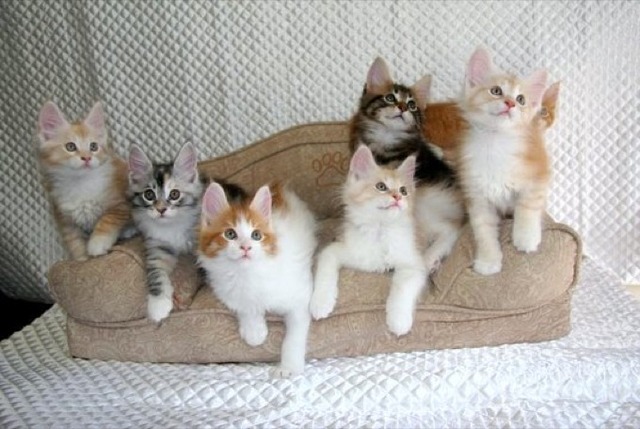 20130222181935_711_1