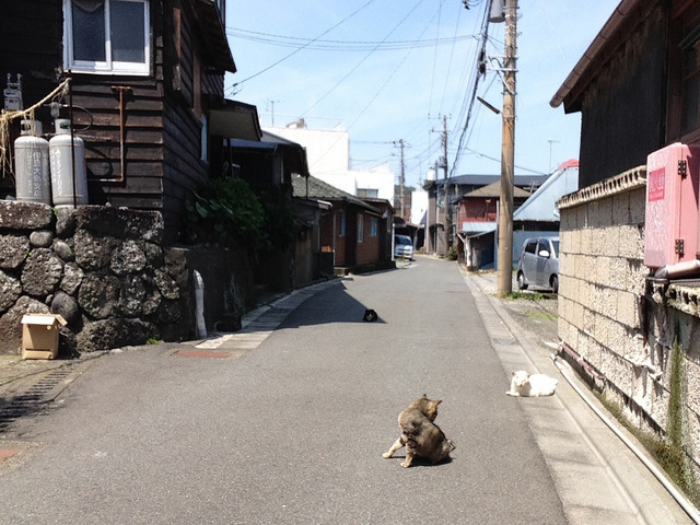 20140504182114_32_1