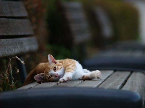 20130222181935_748_1