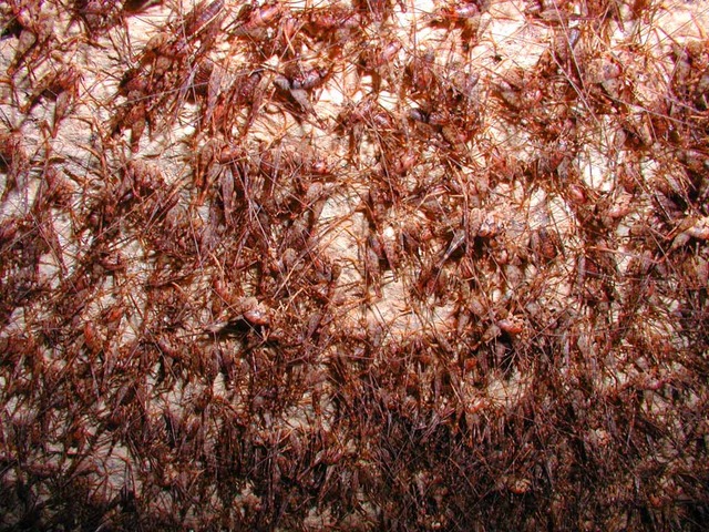 20130325122133_129_5