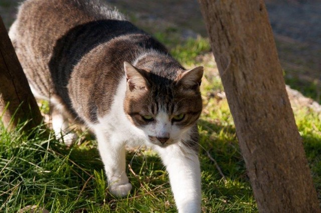 20130222181935_463_1