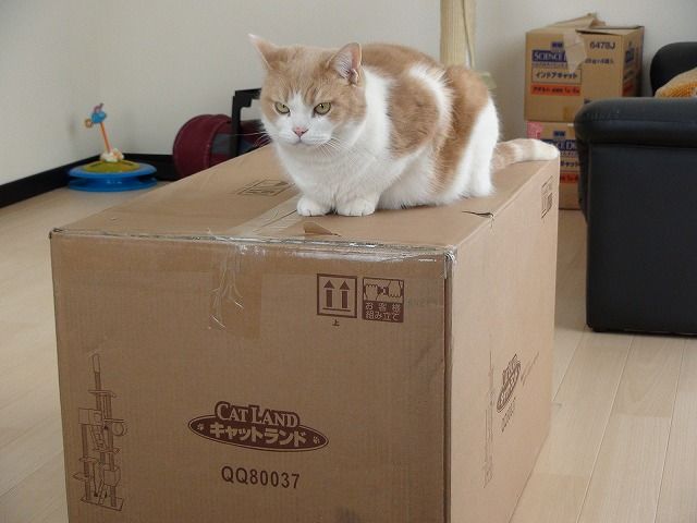 20130222181935_716_2