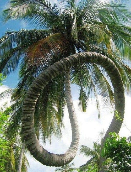 20130209034714_23_1