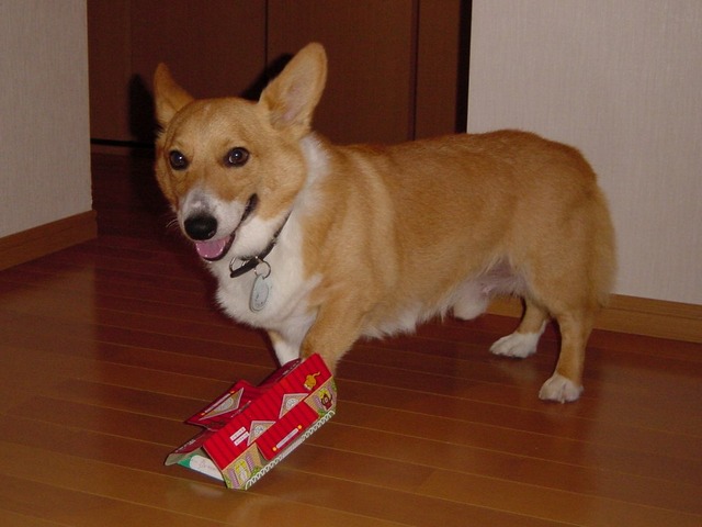 20131113230218_715_1