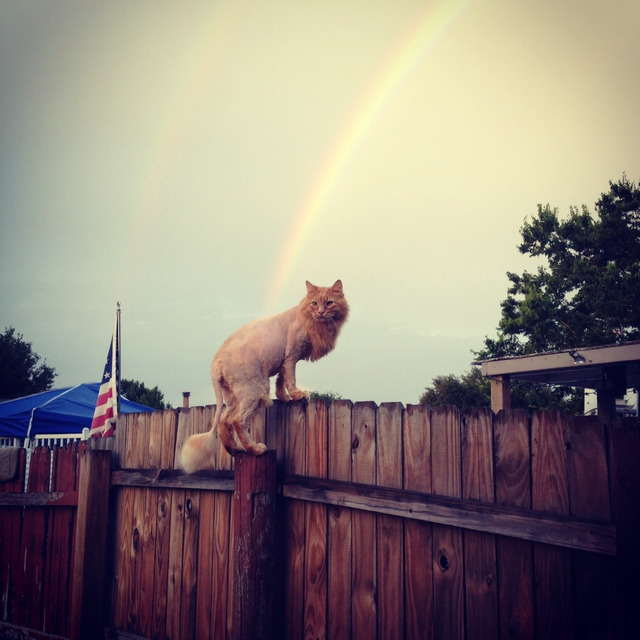 20130605170802_125_3