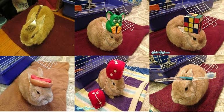 20130427104310_119_3