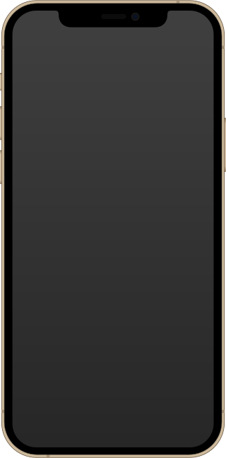 320px-IPhone_12_Pro_Gold.svg