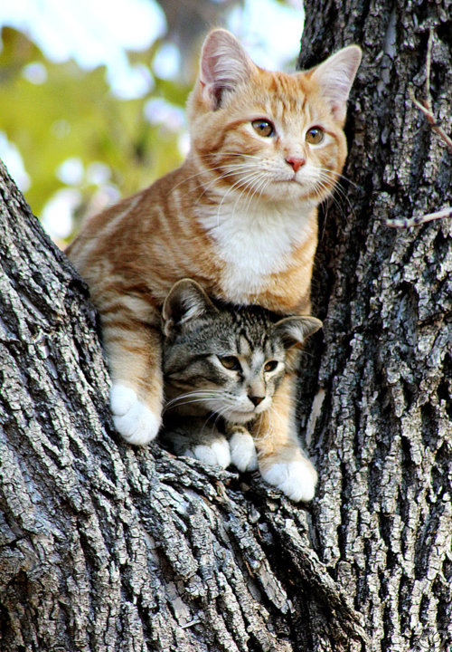 20130222181935_524_1