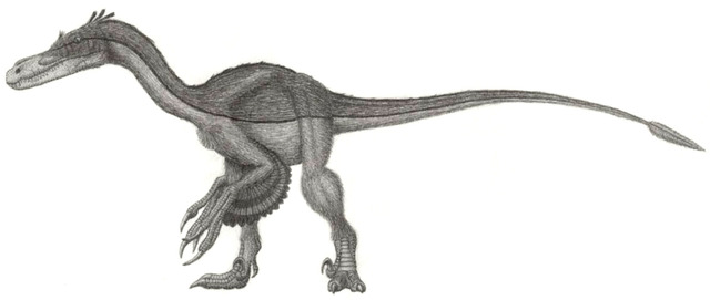 Velociraptor_mongoliensis_jmallon
