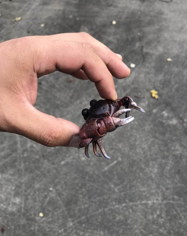 no title