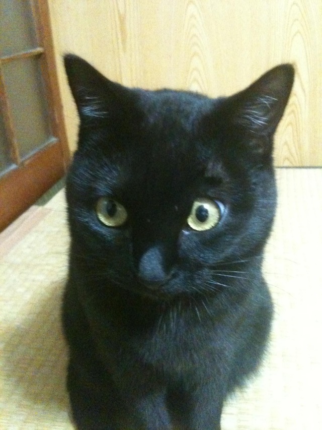 20130403130629_116_1
