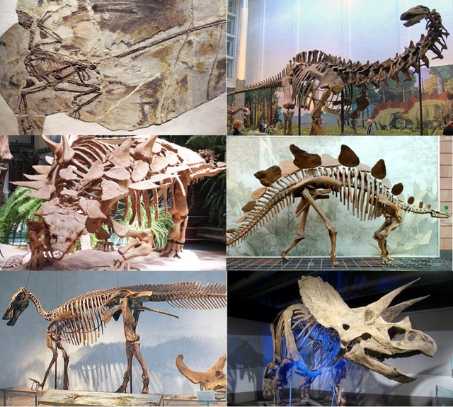 800px-Various_dinosaurs2