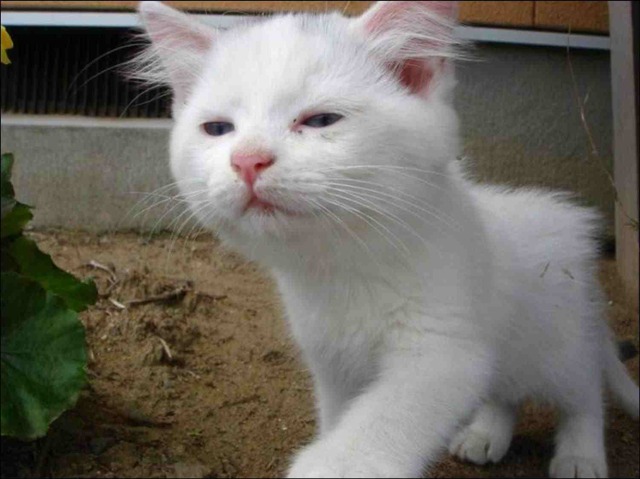 ˂ [f]ڋ֎~]©bbspink.com	YouTube>3{ ->摜>1089 