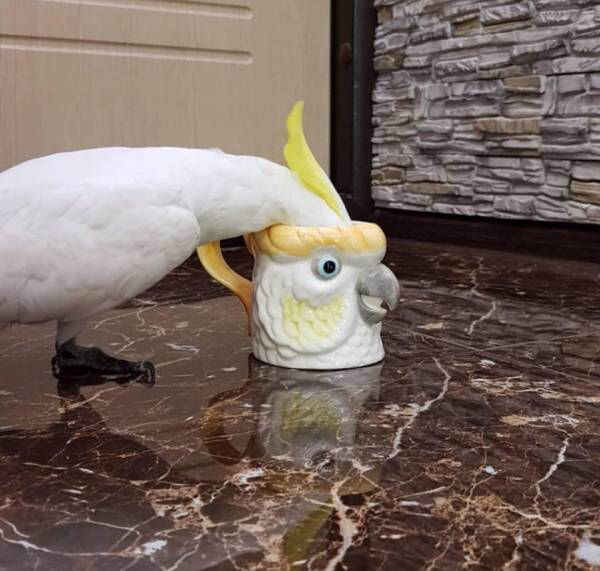 no title