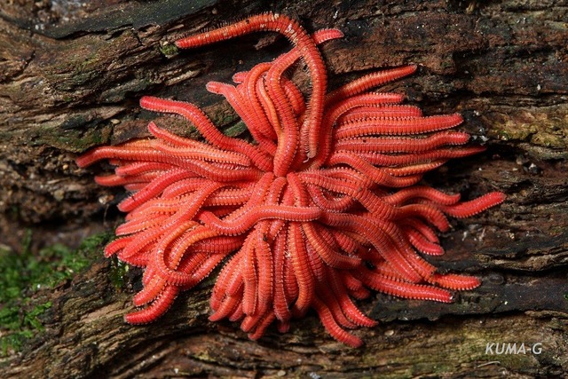 20130325122133_129_4