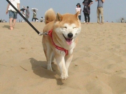 20130424044700_210_1