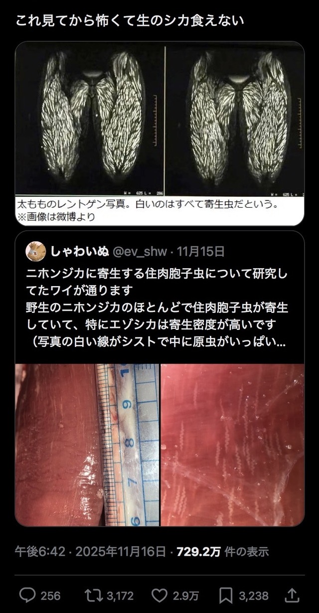 【写真】シカ肉食ってるやつ、ヤバいぞ