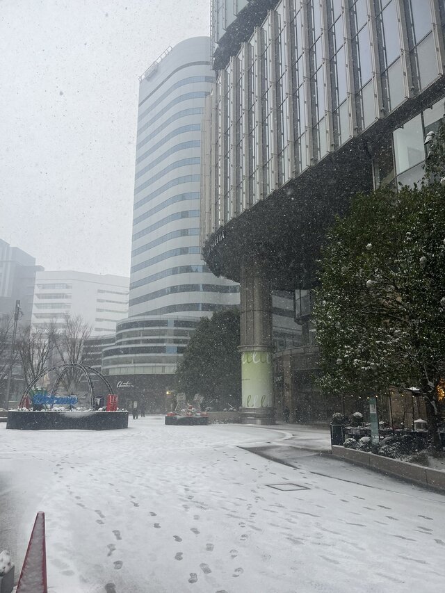 東京、雪が積もり絶望