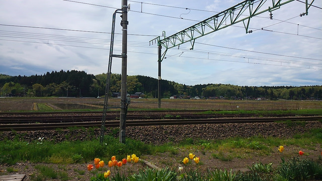 20140504182114_28_1