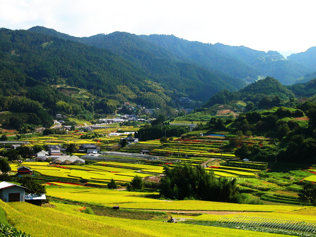 明日香村