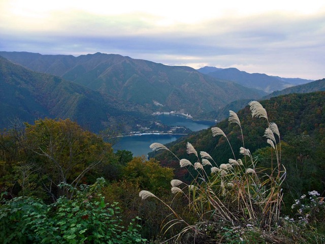 桧原