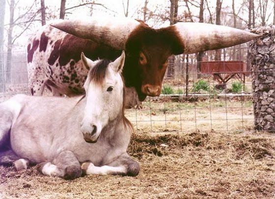 20130605131652_493_4