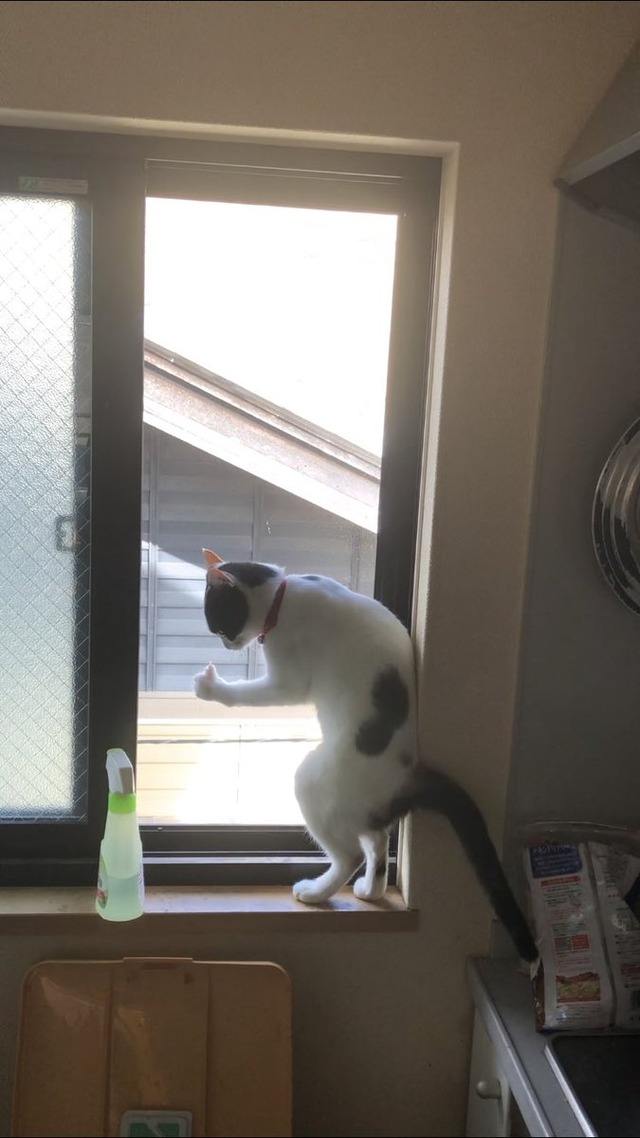 no title