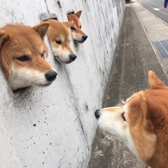 no title