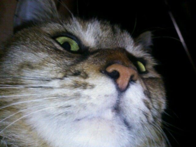 20130222181935_384_3