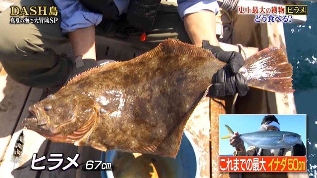 【テレビ】『鉄腕DASH』に“偽装”の指摘「あの尻尾は天然ではない」TOKIO国分が釣ったヒラメに疑惑