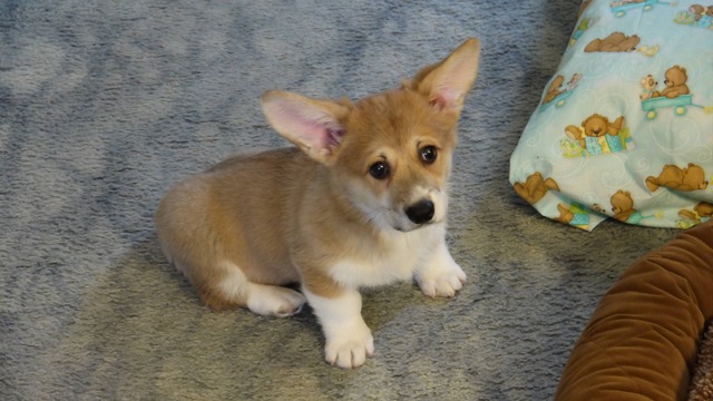 20130605170802_125_7