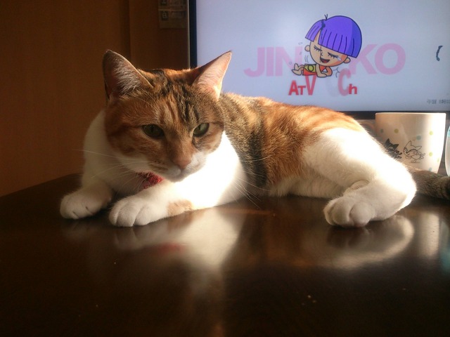 20130222181935_593_2