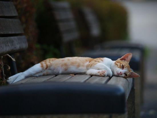 20130222181935_748_2