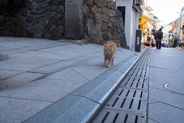 20130222181935_716_1