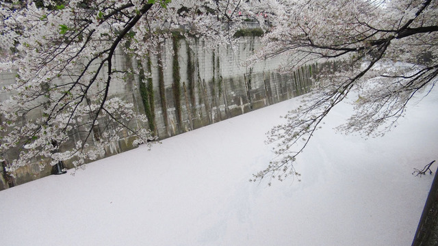 20130331224837_379_2