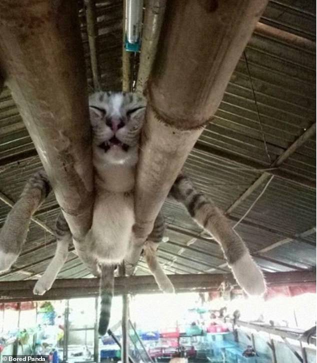 no title