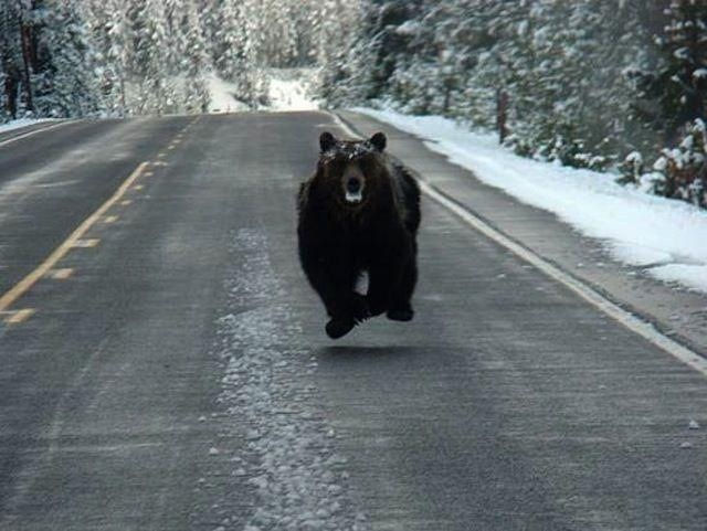 20130605131652_367_1