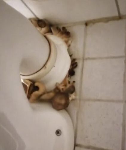 no title