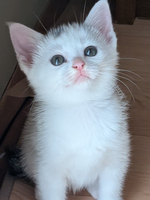no title