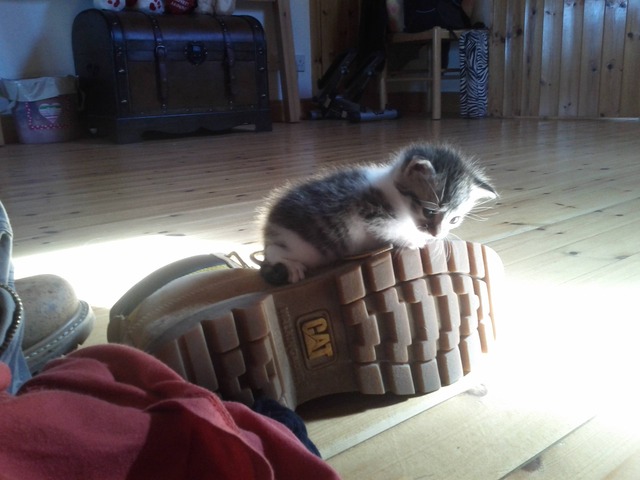 20130605170802_125_1