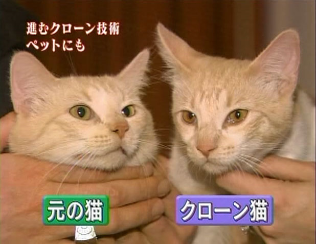 クローン